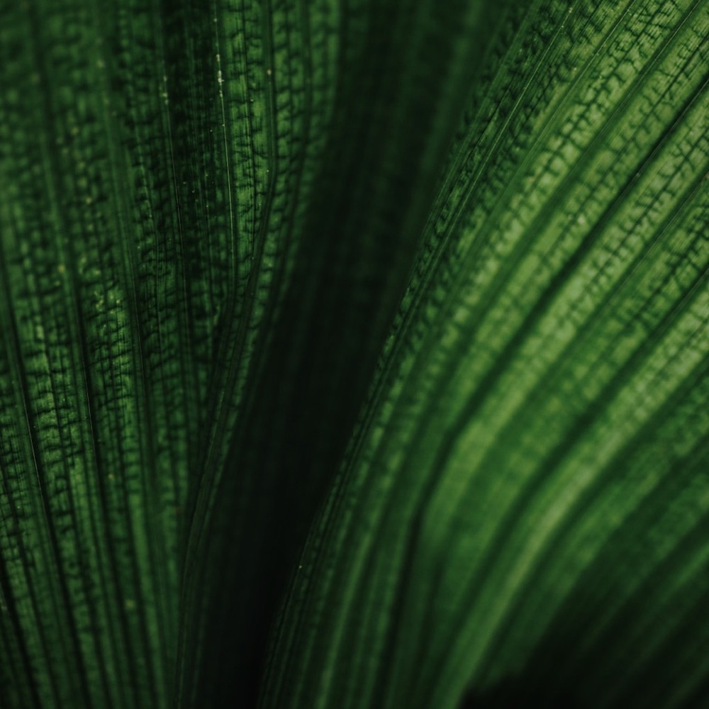 Meet your Posher, MKLA!